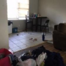 eviction-clean-outs 15